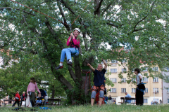 pnn07 16